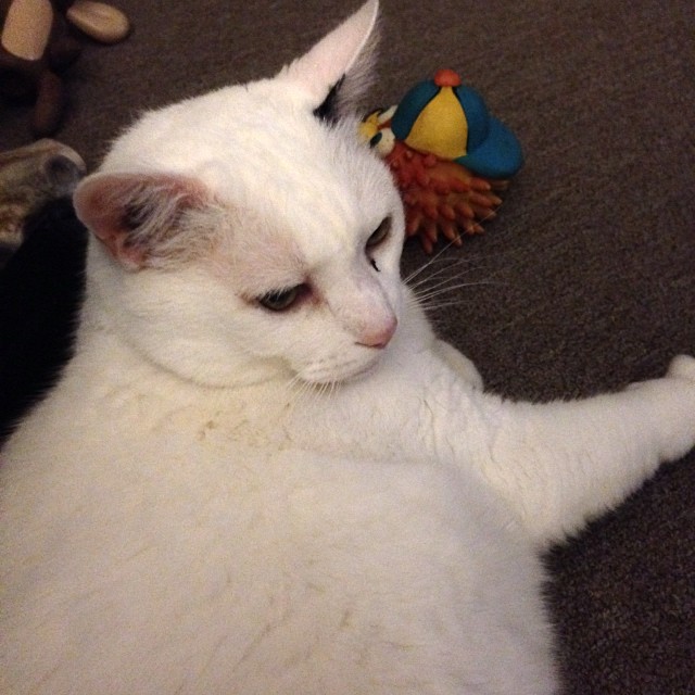 Malachi is playing with my toys!