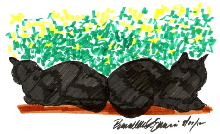 drawing of kitties in the window