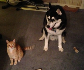 And just what were we doing? You won't hear it from me!