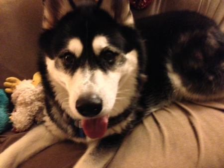 I resolve to eat more cookies!