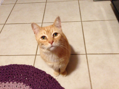  I resolve to continue to show the world how diplomacy and compromise can make us all happier and healthier, as evidenced by my close friendship with DeDe Dog.