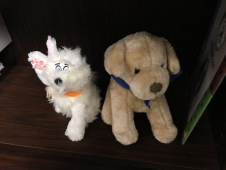 These guys are in our friend's office to comfort children who visit