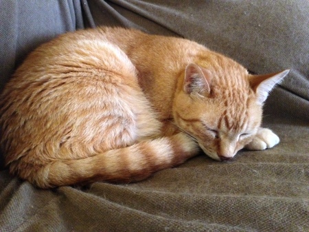 Heal quickly, sweet boy.