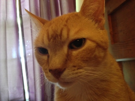 The Ranter is not ranting today.