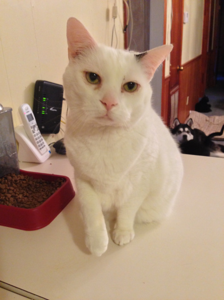 Malachi is ready to get his grub on!