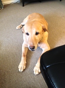 DeDe likes taking it easy.