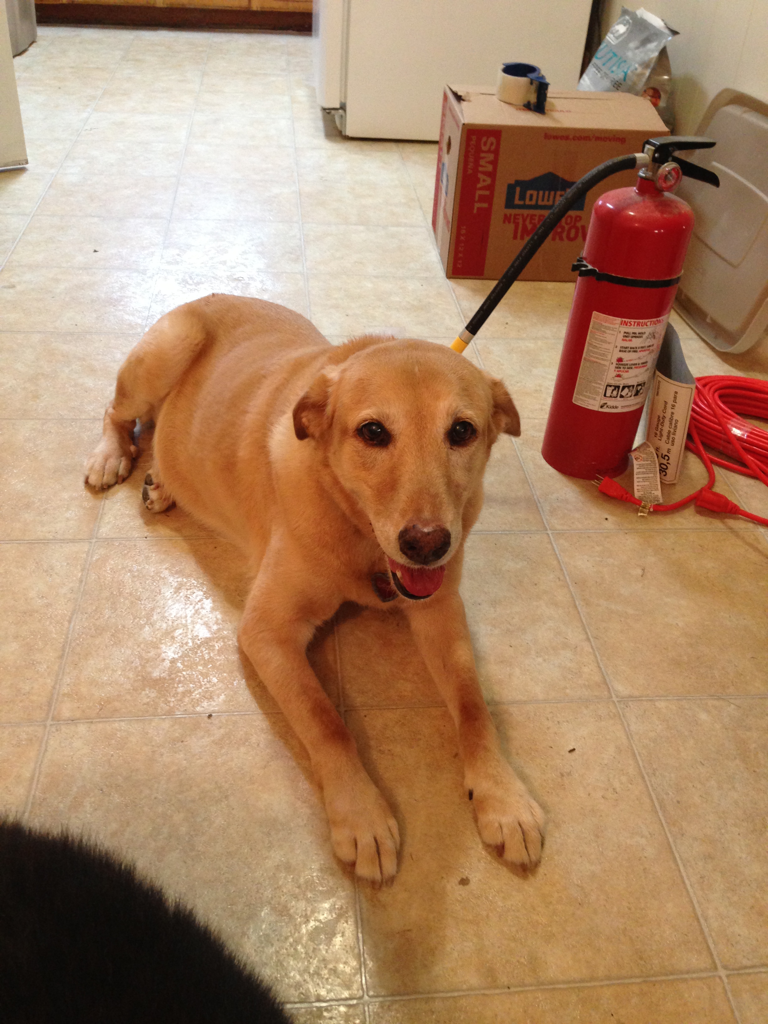 Beauty is an inside job!