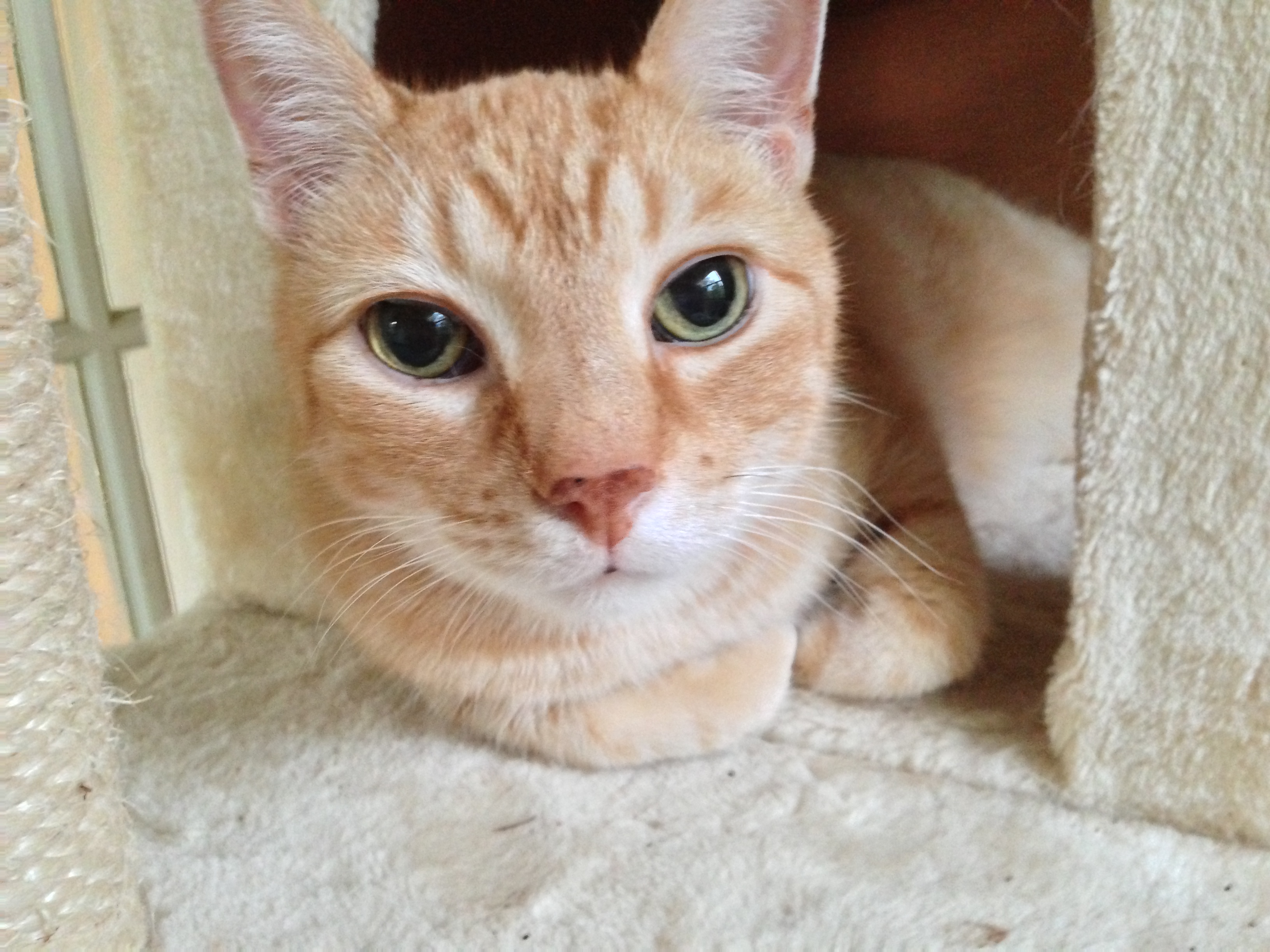 Really? 18% of you think the Loch Ness Monster is real? 