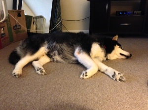 Sometimes it don't pay to get up in the morning. 