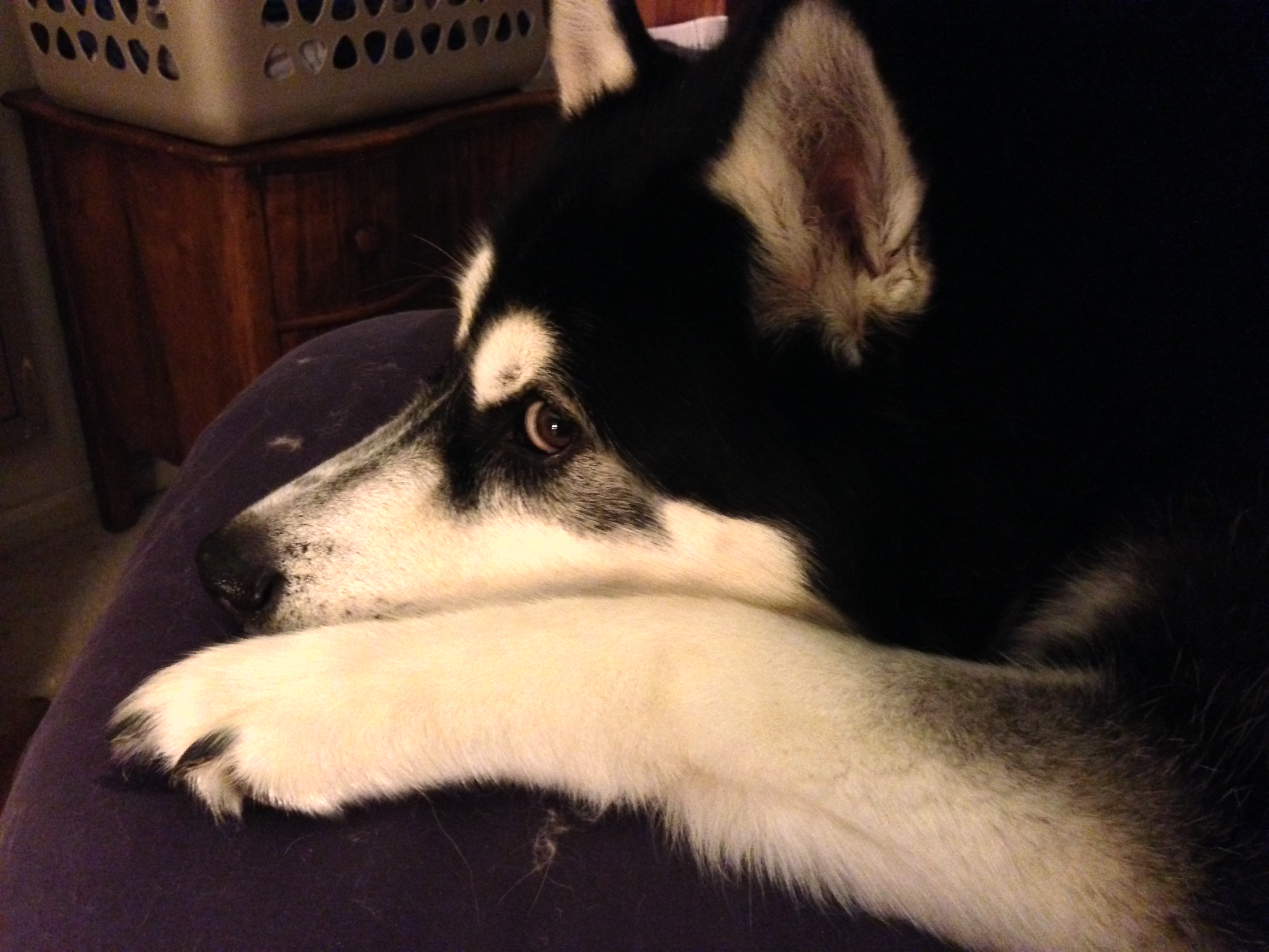 Monday snuck up on me again!