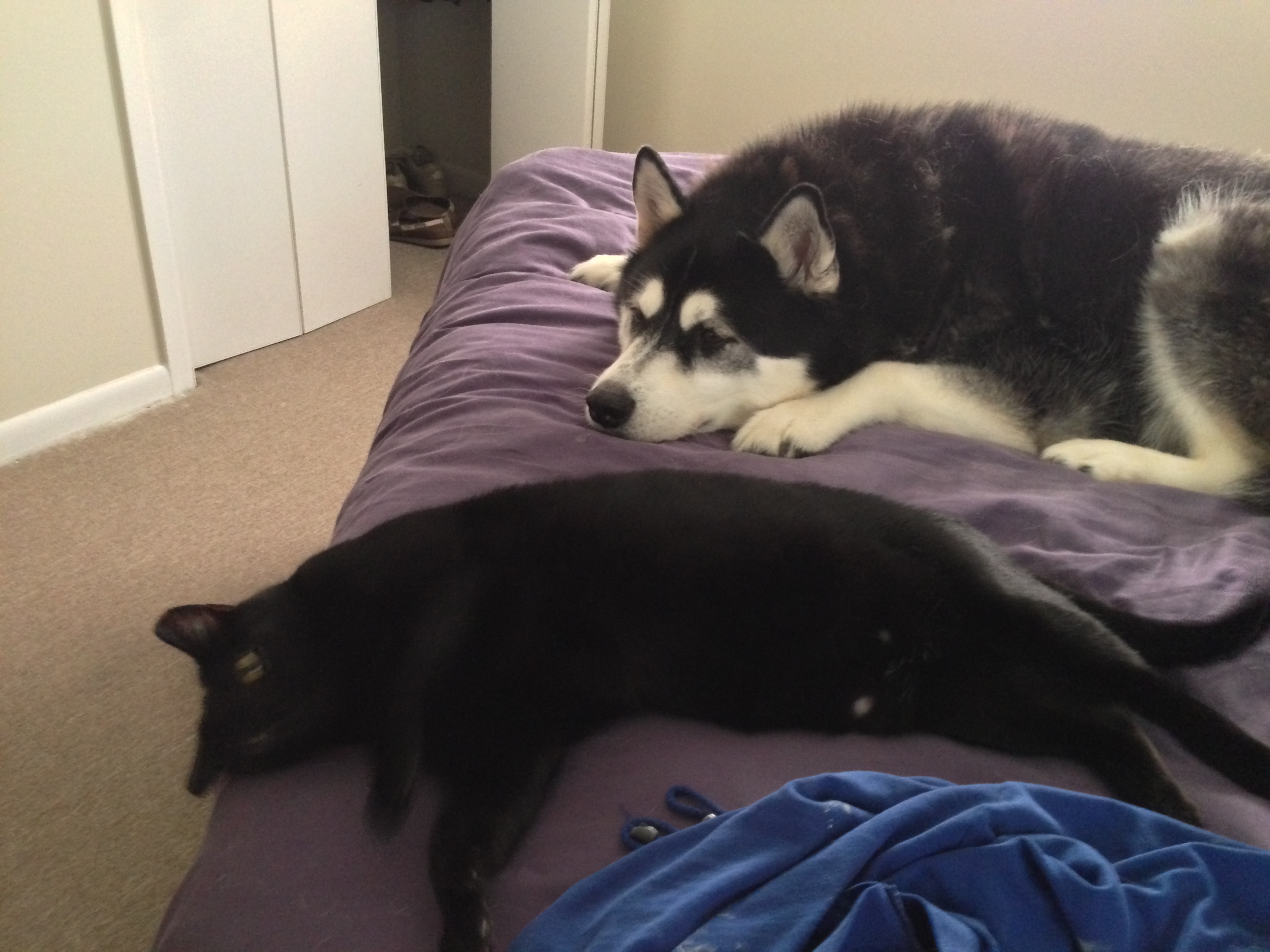 Subversive? Yeah, you could call it that.