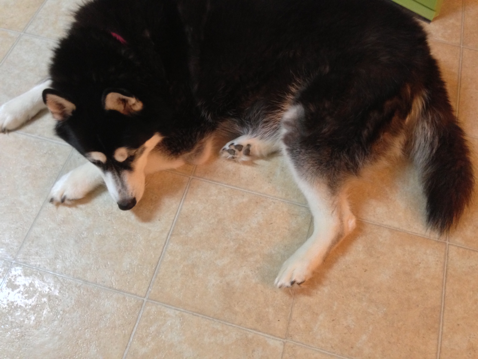 Monday, you did it to me again!