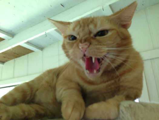 I am spitting mad!!!