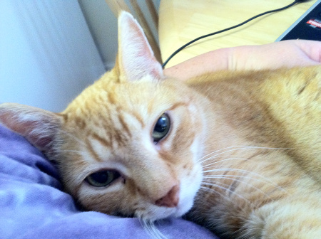 WARNING: Blatant cuteness 