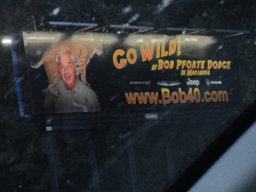 Jen says that if you have to use animals to look big and bad, you most definitely AREN'T. 021