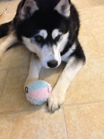 I deaded this soft ball in about 5 minutes. 