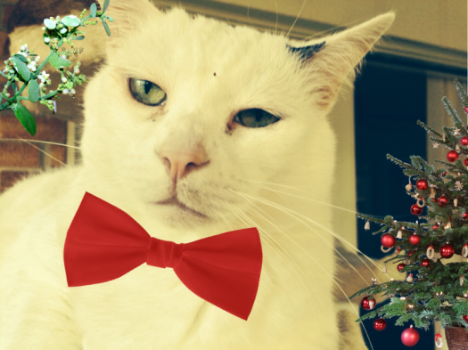 Don't crowd me, ladies. There's plenty of me to go around.  