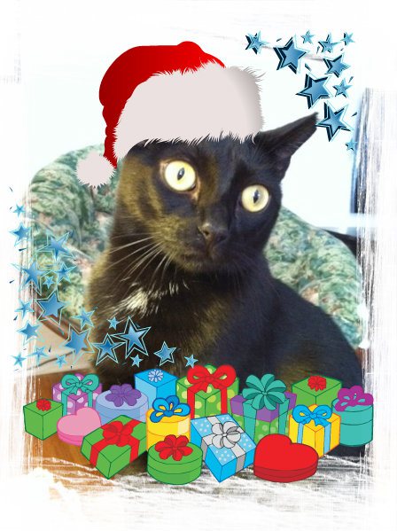 pizap.com10.15815376397222281387453190986