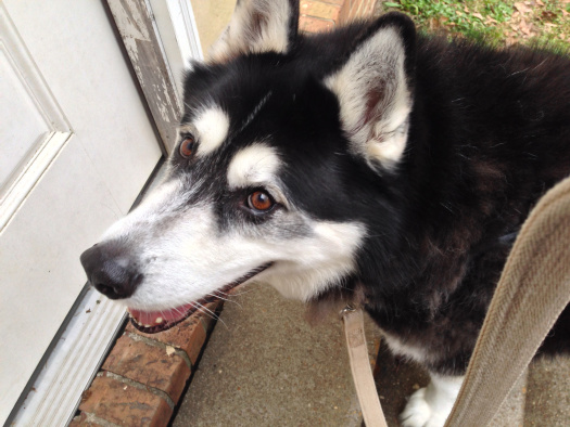 if you give your cookies to me! 030