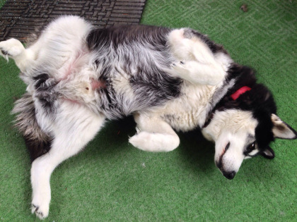 And what an adventure it has been!