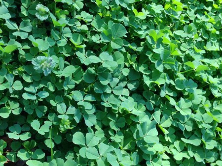 but we're still looking! but we're still looking!