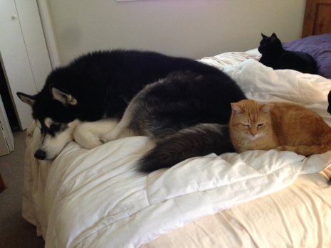 He's hanging with the Rumpster!