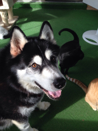 Saturdays are the BEST!