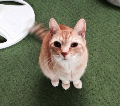 Yeah? Whats so sweet about it?