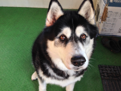 I can smell that cookie in your hand!
