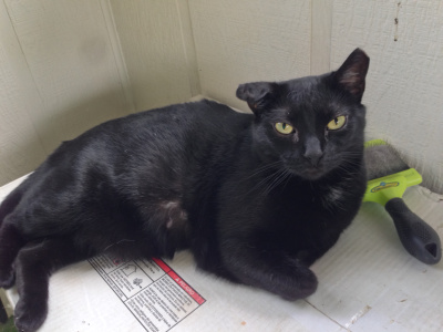 She doesn't appear happy, but I was sure happy she sat still long enough for me to get a decent photo of her. 