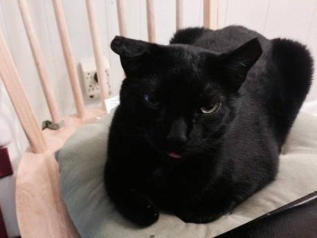 Little Girl sticks her tongue out at me, and I'm laughing all over myself.