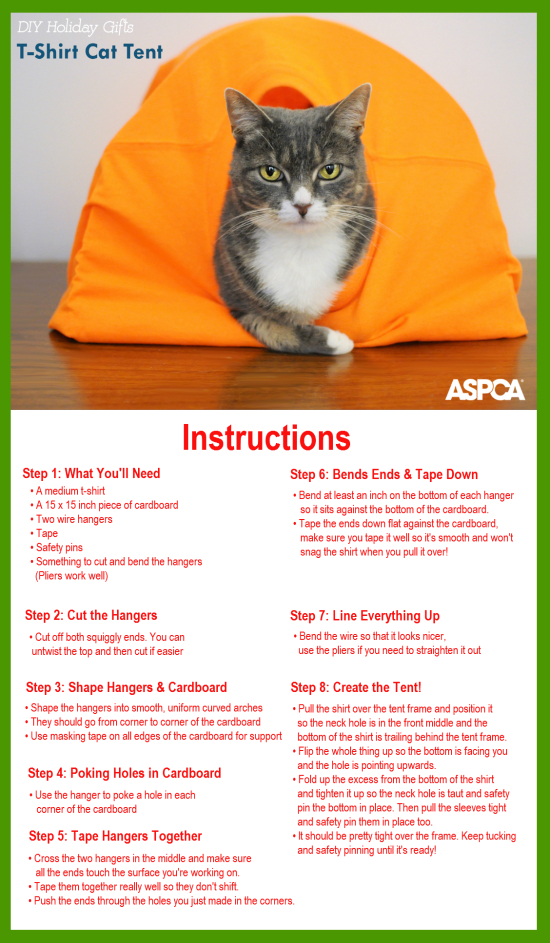 029c5932-9025-4d0b-abc6-f739c0d5bfab