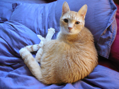 Why's it always gotta be me? 