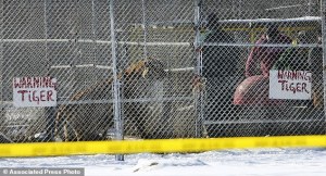 Taken during the seizure. Photo from Daily Mail (dailymail.co.uk)