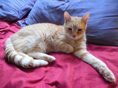 Sorry, June Buggie, no one loves you but me. And no, it's not one of those unnatural loves, so get over it. 