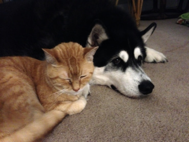 It's love your pet day! Bubba is celebrating by showing some love to his dog. 