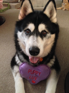 Woo woo woo! I love you!