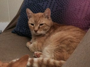 Problem? I don't have a problem. 