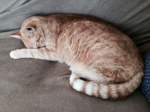 He feigns innocence so well! 