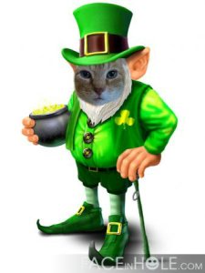 buggie leprechaun