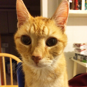 June Buggie has wide eyes that make him look so darn cute!
