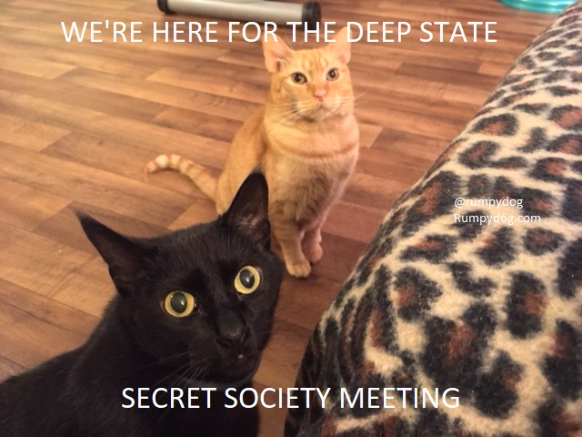 secret society