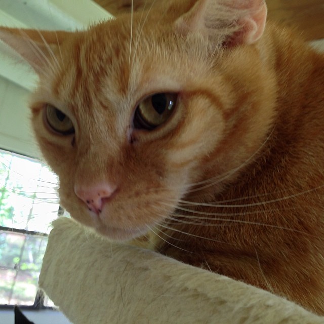 What are YOU looking at????