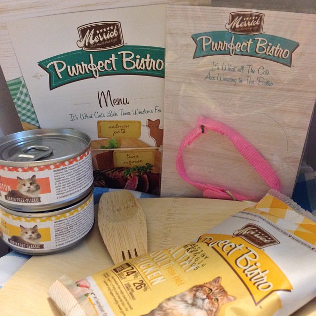 Klout perk from Merrick for the kitties!