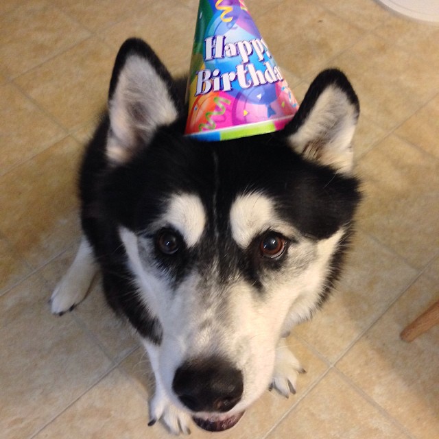 Happy Gotcha Day to me!!!!!