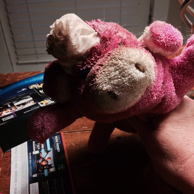 Oh Dog! Something happened to pig! It looks like zombies tried to eat his brains!?!?! #dog toy #zombies