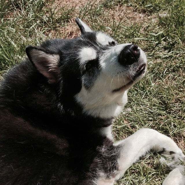 Ahhhhh!!!! The great outdoors!!!!