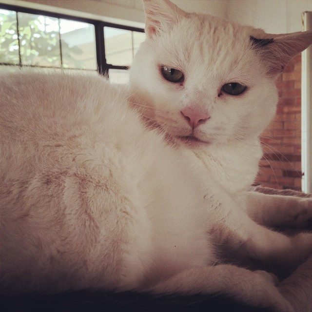 What? What do you want? -Malachi