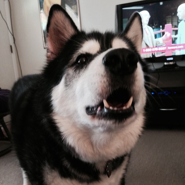 I want to go outside!